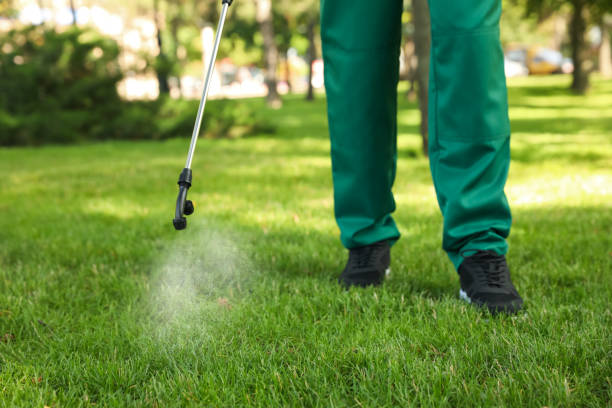 Professional Pest Control in Liberty Lake, WA