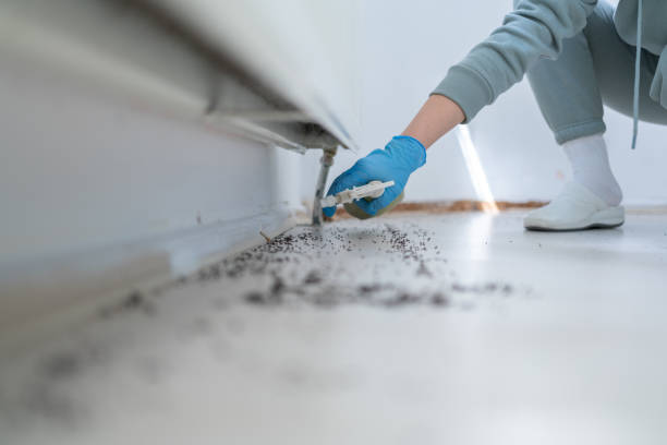 Best Wildlife Control Services  in Liberty Lake, WA